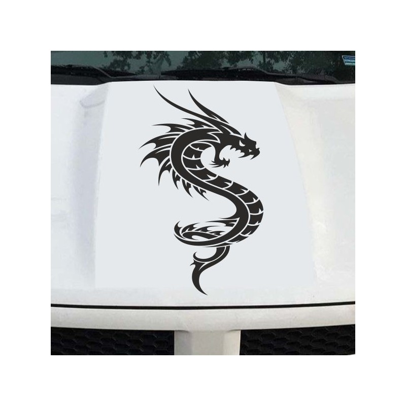 Aufkleber Auto Motorhaube Car Style Tuning Drache Tribal Dekor Rosen Blumen Schmetteringe Tattoo´s Fun Comic Flower Tiere