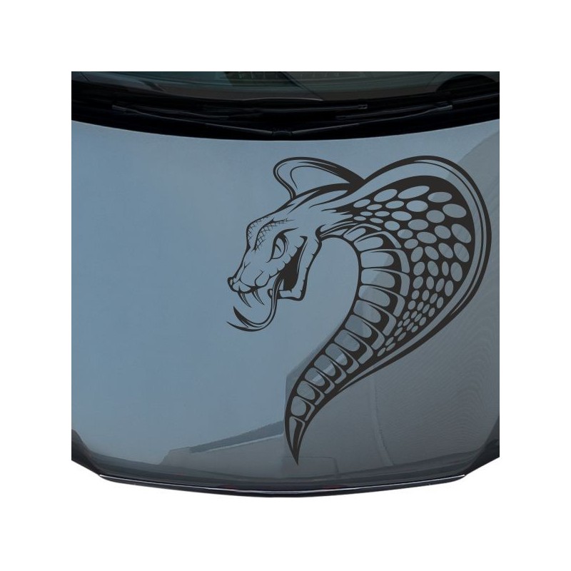 Aufkleber Auto Motorhaube Car Style Tuning Drache Tribal Dekor Rosen Blumen Schmetteringe Tattoo´s Fun Comic Flower Tiere