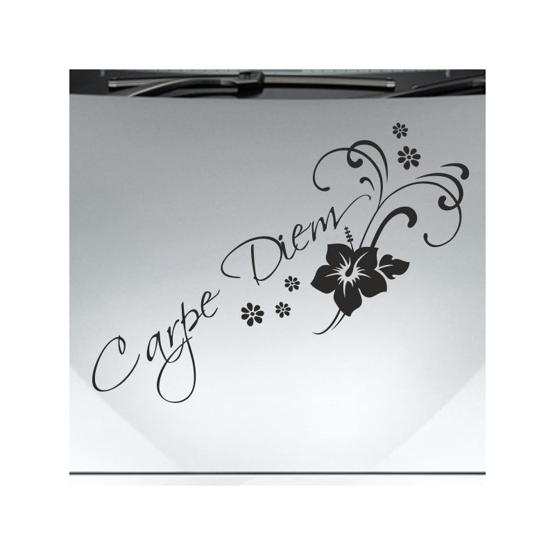 Aufkleber Auto Motorhaube Car Style Tuning Drache Tribal Dekor Rosen Blumen Schmetteringe Tattoo´s Fun Comic Flower Tiere