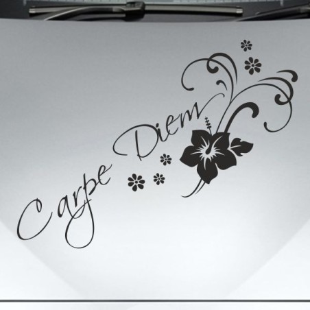 Aufkleber Auto Motorhaube Car Style Tuning Drache Tribal Dekor Rosen Blumen Schmetteringe Tattoo´s Fun Comic Flower Tiere