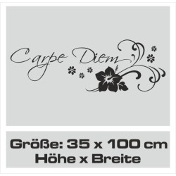 Aufkleber Auto Motorhaube Car Style Tuning Drache Tribal Dekor Rosen Blumen Schmetteringe Tattoo´s Fun Comic Flower Tiere