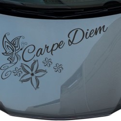 Aufkleber Auto Motorhaube Car Style Tuning Drache Tribal Dekor Rosen Blumen Schmetteringe Tattoo´s Fun Comic Flower Tiere