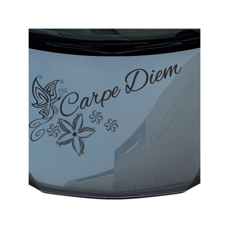 Aufkleber Auto Motorhaube Car Style Tuning Drache Tribal Dekor Rosen Blumen Schmetteringe Tattoo´s Fun Comic Flower Tiere