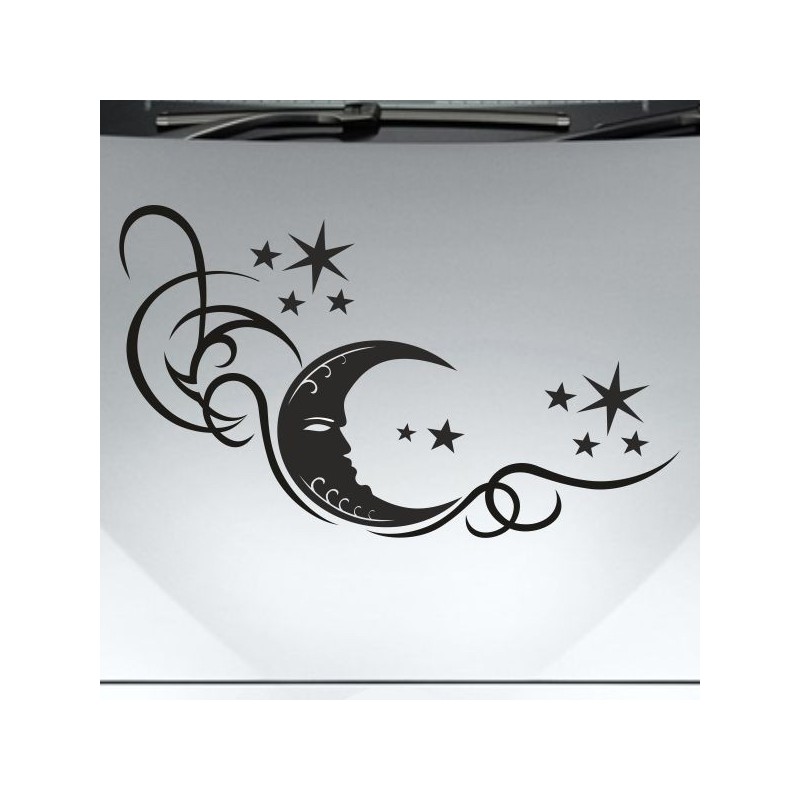 Aufkleber Auto Motorhaube Car Style Tuning Drache Tribal Dekor Rosen Blumen Schmetteringe Tattoo´s Fun Comic Flower Tiere