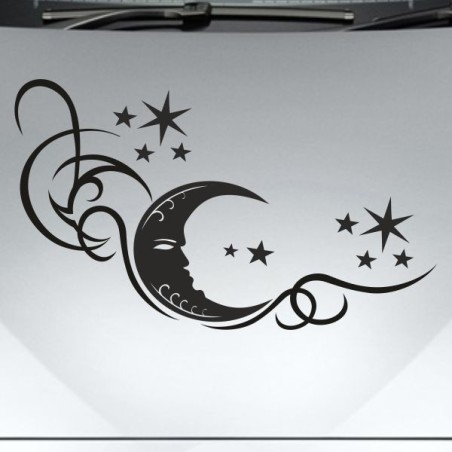 Aufkleber Auto Motorhaube Car Style Tuning Drache Tribal Dekor Rosen Blumen Schmetteringe Tattoo´s Fun Comic Flower Tiere