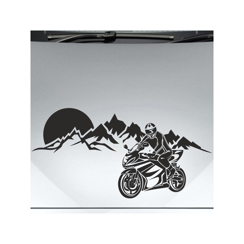 Aufkleber Auto Motorhaube Car Style Tuning Drache Tribal Dekor Rosen Blumen Schmetteringe Tattoo´s Fun Comic Flower Tiere