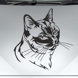 Aufkleber Auto Motorhaube Car Style Tuning Drache Tribal Dekor Rosen Blumen Schmetteringe Tattoo´s Fun Comic Flower Tiere