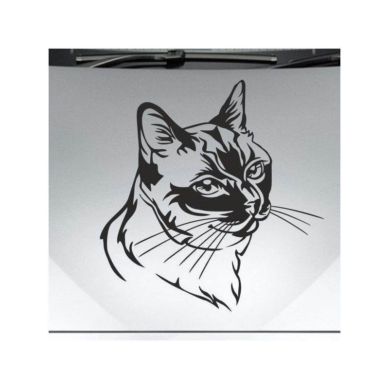 Aufkleber Auto Motorhaube Car Style Tuning Drache Tribal Dekor Rosen Blumen Schmetteringe Tattoo´s Fun Comic Flower Tiere