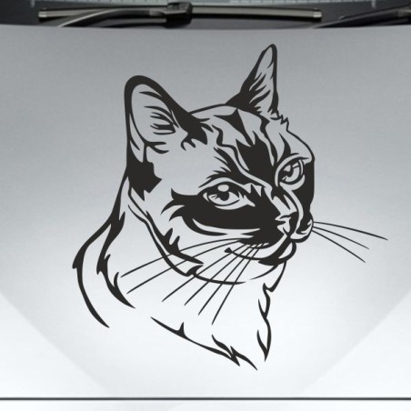 Aufkleber Auto Motorhaube Car Style Tuning Drache Tribal Dekor Rosen Blumen Schmetteringe Tattoo´s Fun Comic Flower Tiere