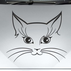 Aufkleber Auto Motorhaube Car Style Tuning Drache Tribal Dekor Rosen Blumen Schmetteringe Tattoo´s Fun Comic Flower Tiere