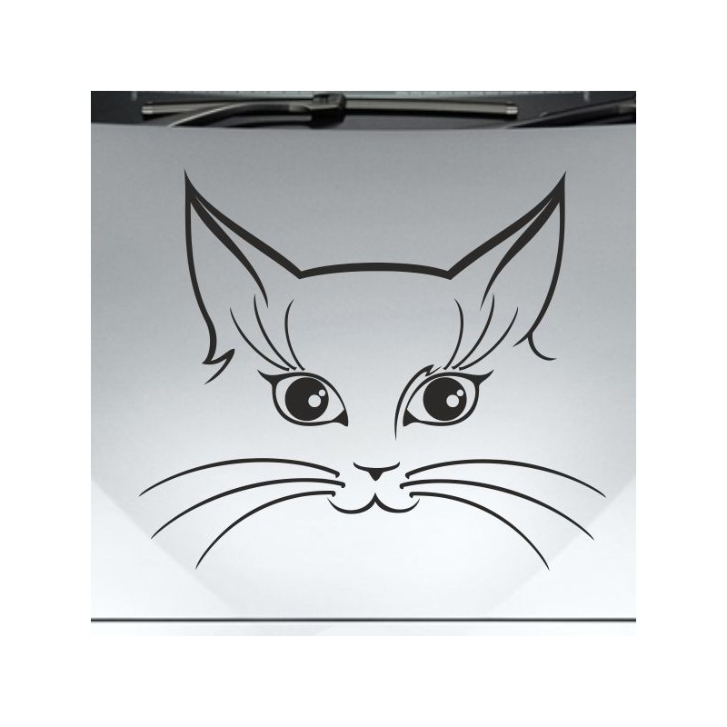 Aufkleber Auto Motorhaube Car Style Tuning Drache Tribal Dekor Rosen Blumen Schmetteringe Tattoo´s Fun Comic Flower Tiere