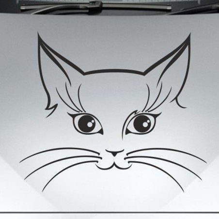 Aufkleber Auto Motorhaube Car Style Tuning Drache Tribal Dekor Rosen Blumen Schmetteringe Tattoo´s Fun Comic Flower Tiere