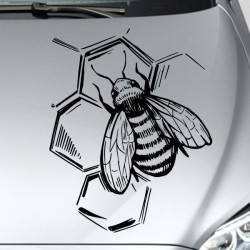 Aufkleber Auto Motorhaube Car Style Tuning Drache Tribal Dekor Rosen Blumen Schmetteringe Tattoo´s Fun Comic Flower Tiere