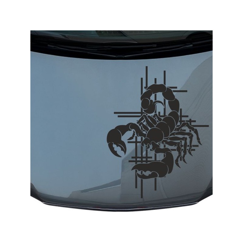 Aufkleber Auto Motorhaube Car Style Tuning Drache Tribal Dekor Rosen Blumen Schmetteringe Tattoo´s Fun Comic Flower Tiere