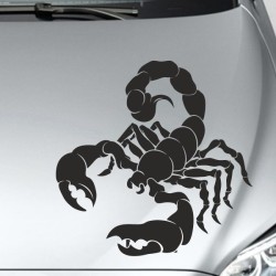 Aufkleber Auto Motorhaube Car Style Tuning Drache Tribal Dekor Rosen Blumen Schmetteringe Tattoo´s Fun Comic Flower Tiere