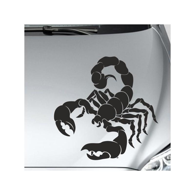 Aufkleber Auto Motorhaube Car Style Tuning Drache Tribal Dekor Rosen Blumen Schmetteringe Tattoo´s Fun Comic Flower Tiere