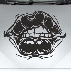 Aufkleber Auto Motorhaube Car Style Tuning Drache Tribal Dekor Rosen Blumen Schmetteringe Tattoo´s Fun Comic Flower Tiere