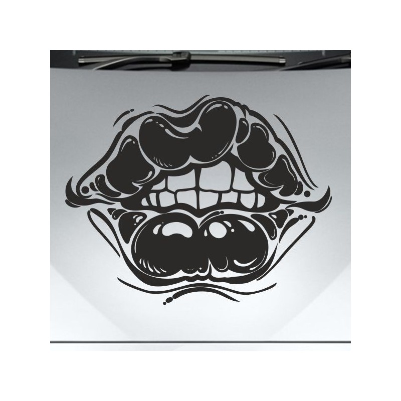 Aufkleber Auto Motorhaube Car Style Tuning Drache Tribal Dekor Rosen Blumen Schmetteringe Tattoo´s Fun Comic Flower Tiere