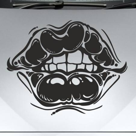 Aufkleber Auto Motorhaube Car Style Tuning Drache Tribal Dekor Rosen Blumen Schmetteringe Tattoo´s Fun Comic Flower Tiere