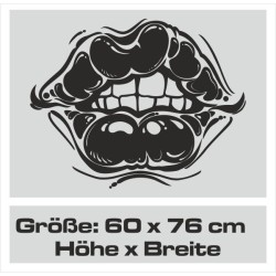 Aufkleber Auto Motorhaube Car Style Tuning Drache Tribal Dekor Rosen Blumen Schmetteringe Tattoo´s Fun Comic Flower Tiere