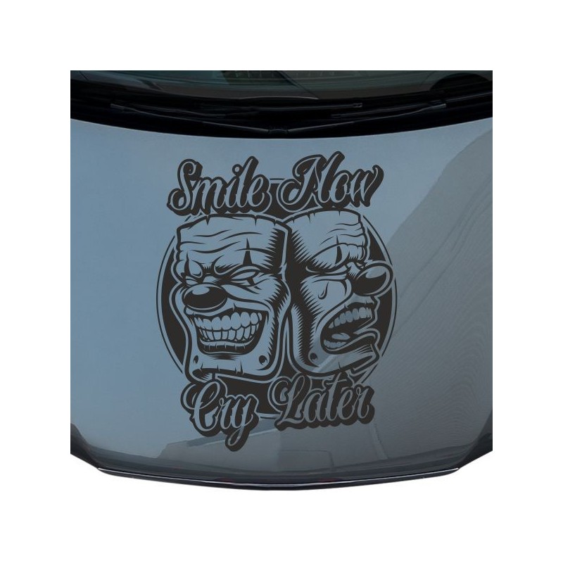 Aufkleber Auto Motorhaube Car Style Tuning Drache Tribal Dekor Rosen Blumen Schmetteringe Tattoo´s Fun Comic Flower Tiere