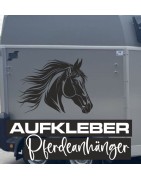 Aufkleber SET Pferdeanhänger